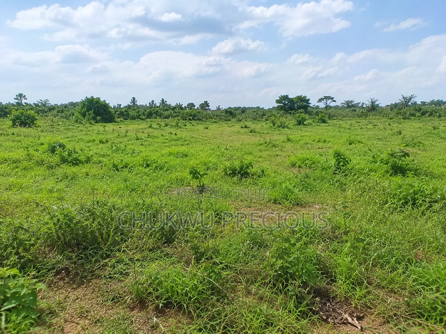 500SQM Land for Sale in Apo Wasa in Wasa
