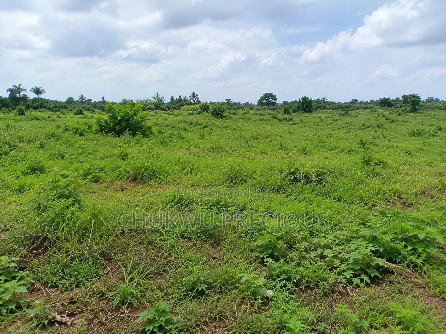 350sqm Land for Sale in the Apo District , Apo Wasa in Wasa