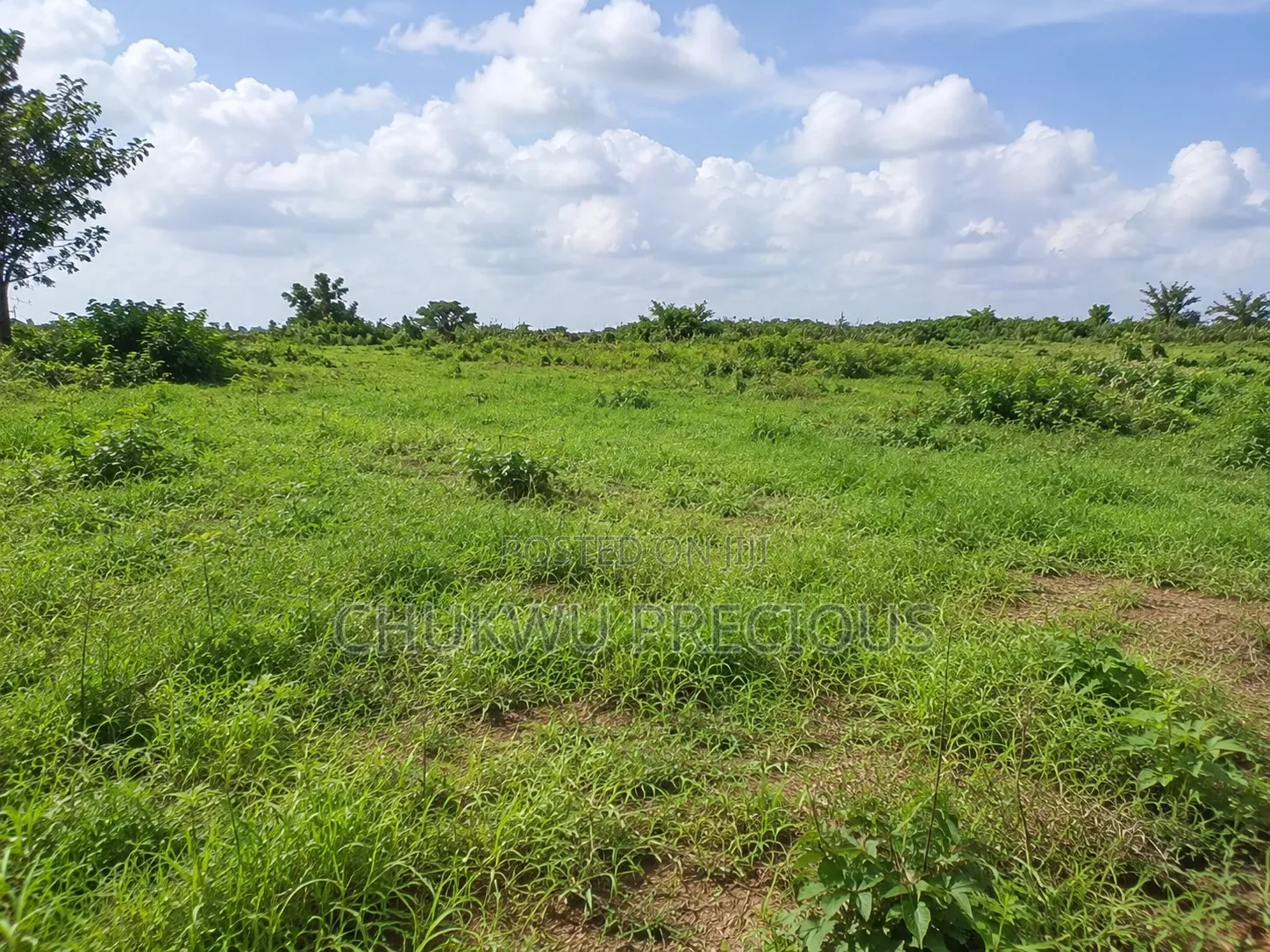 350sqm Land for Sale in the Apo District , Apo Wasa in Wasa
