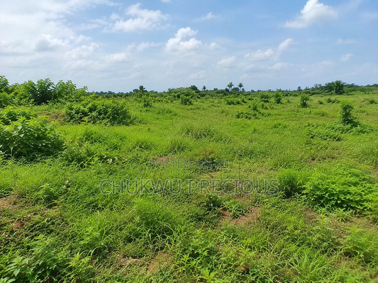 Apo Wasa, Sunrise Manor, 250sqm Land for Sale in Wasa