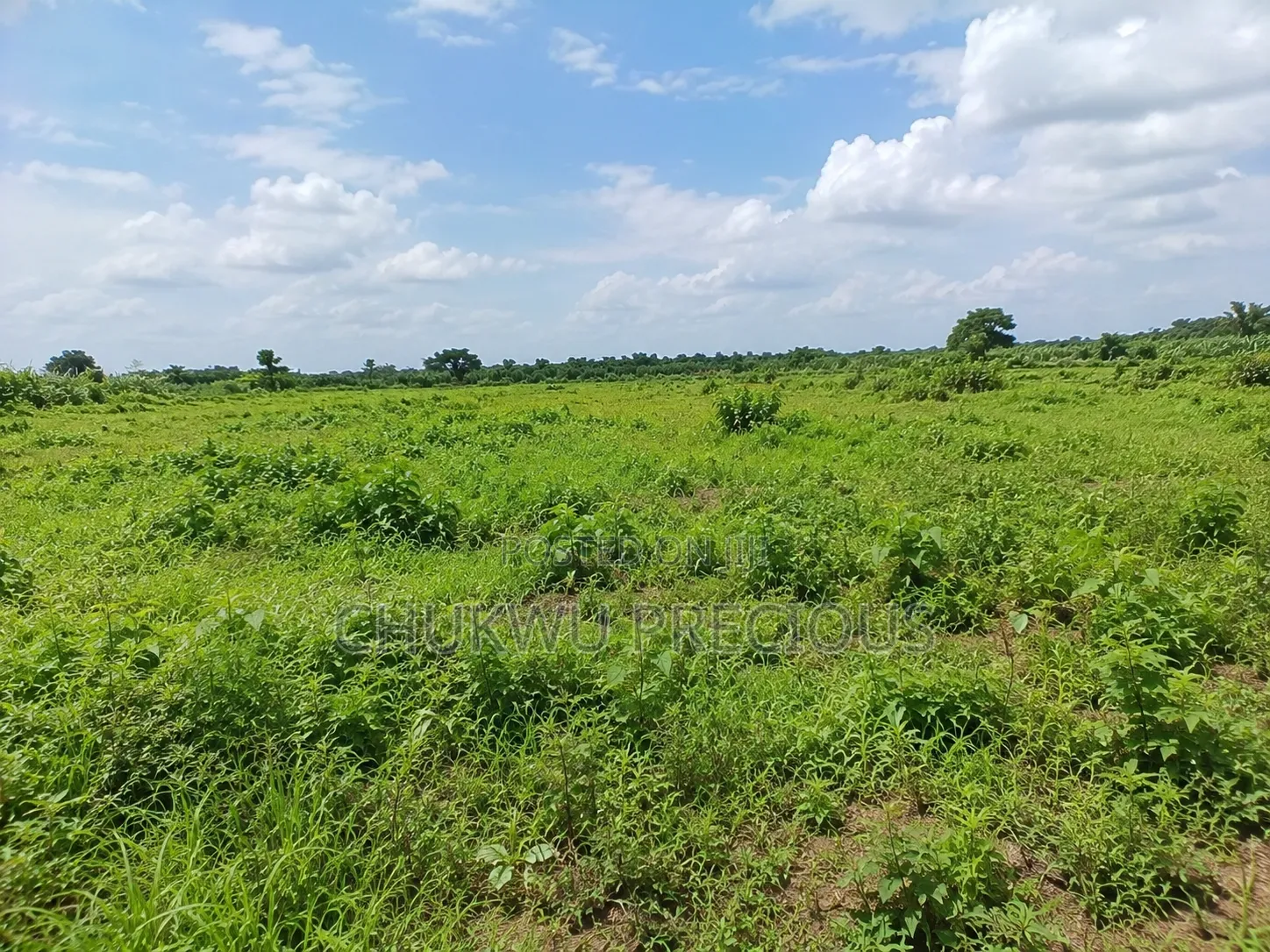Apo Wasa, Sunrise Manor, 250sqm Land for Sale in Wasa