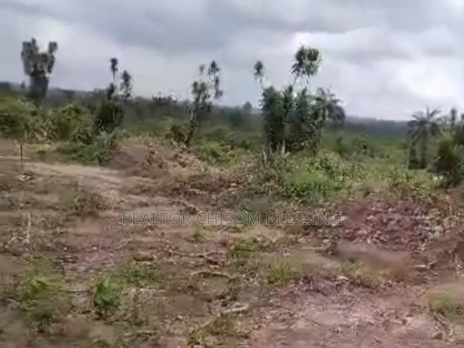 5 Plots Available Behind Divinity School, Old Umuahia! in Umuahia