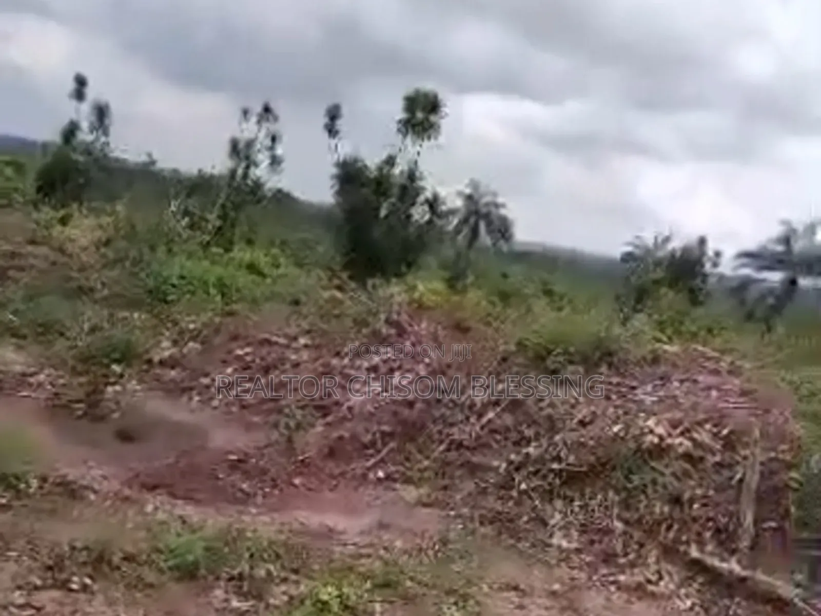 5 Plots Available Behind Divinity School, Old Umuahia! in Umuahia