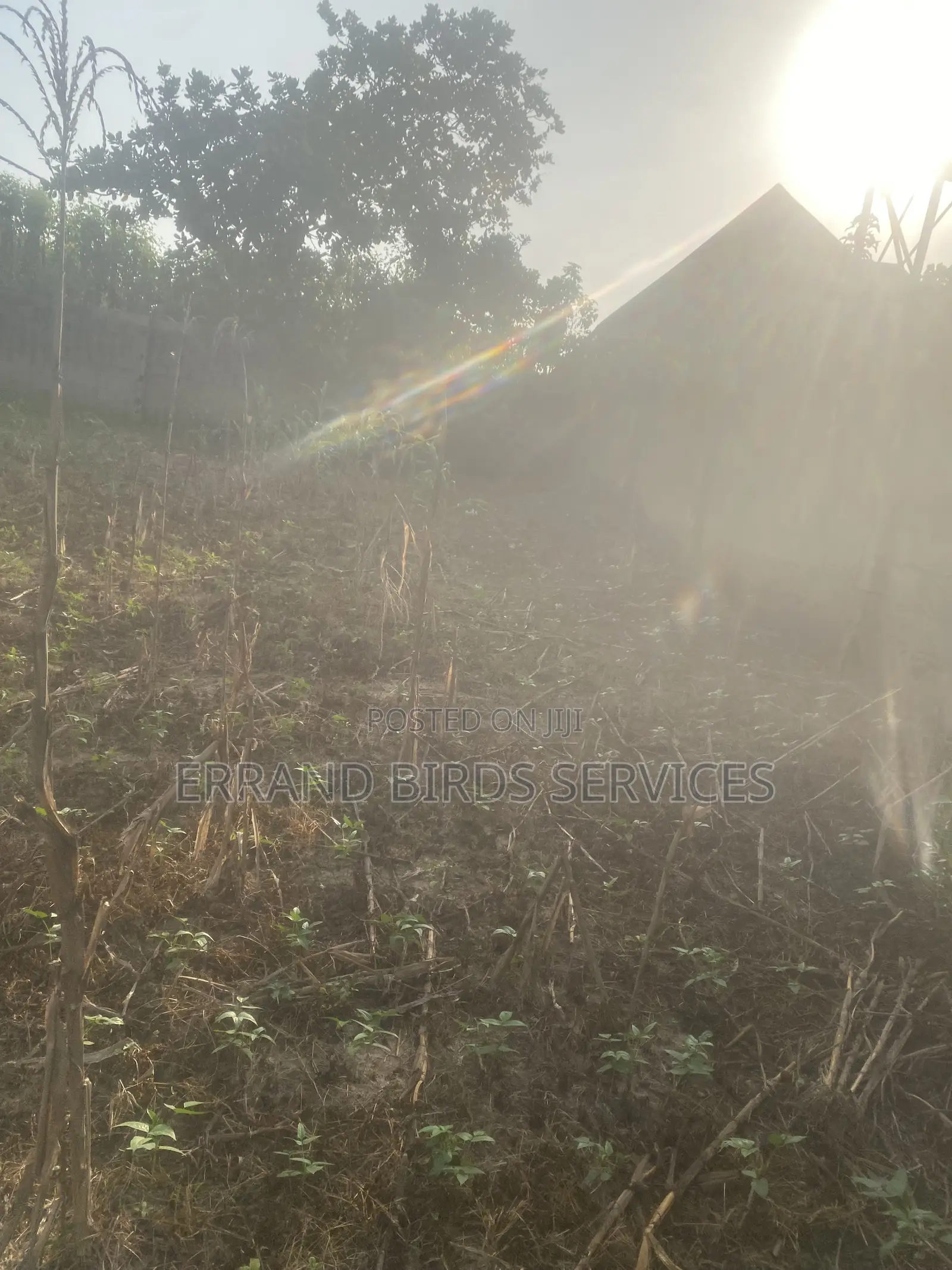 Land for Sale in Karu