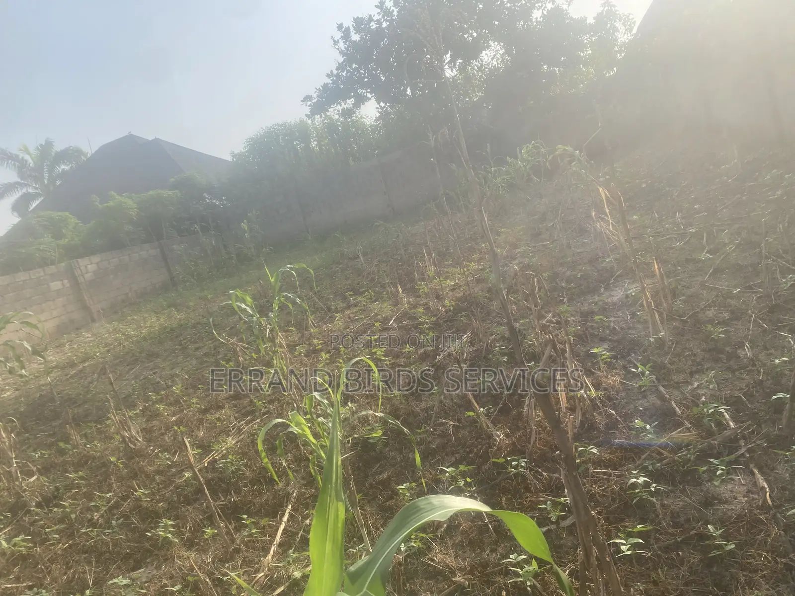 Land for Sale in Karu