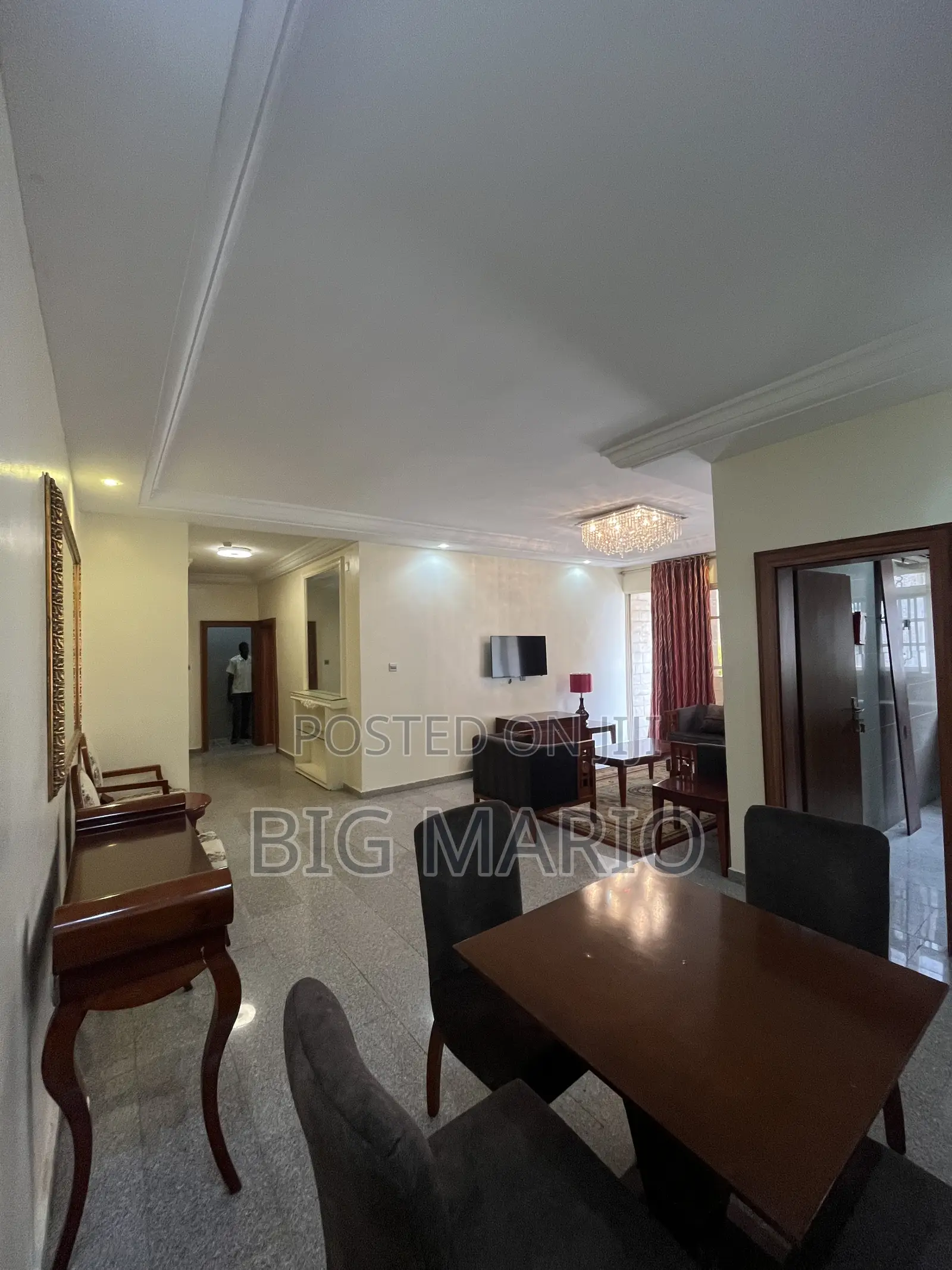 Furnished 1bdrm Apartment in Asokoro for rent in Asokoro