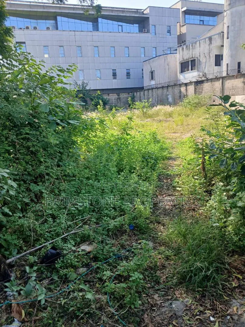 A Fully Dry Land and Fenced in Bogije