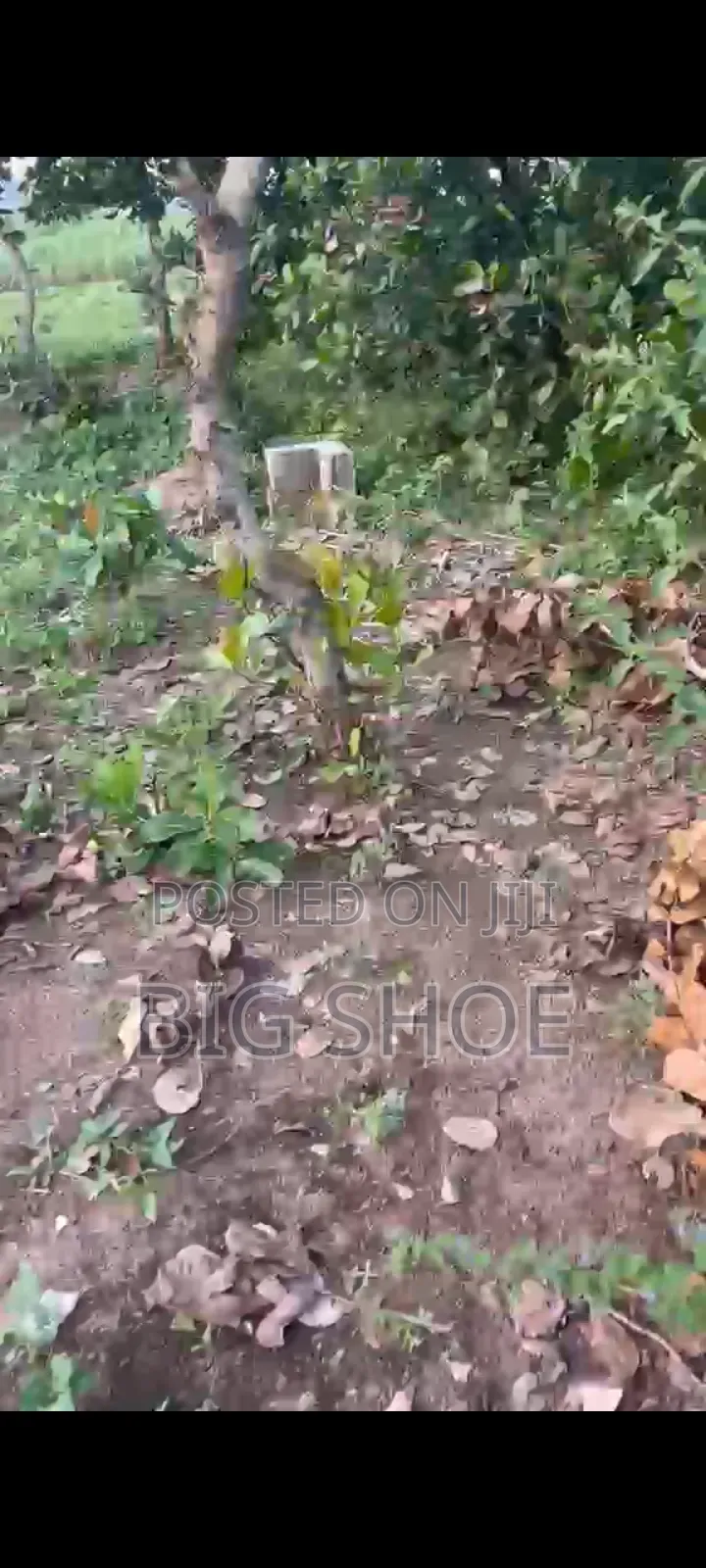Land for Sell in Bwari / Bwari