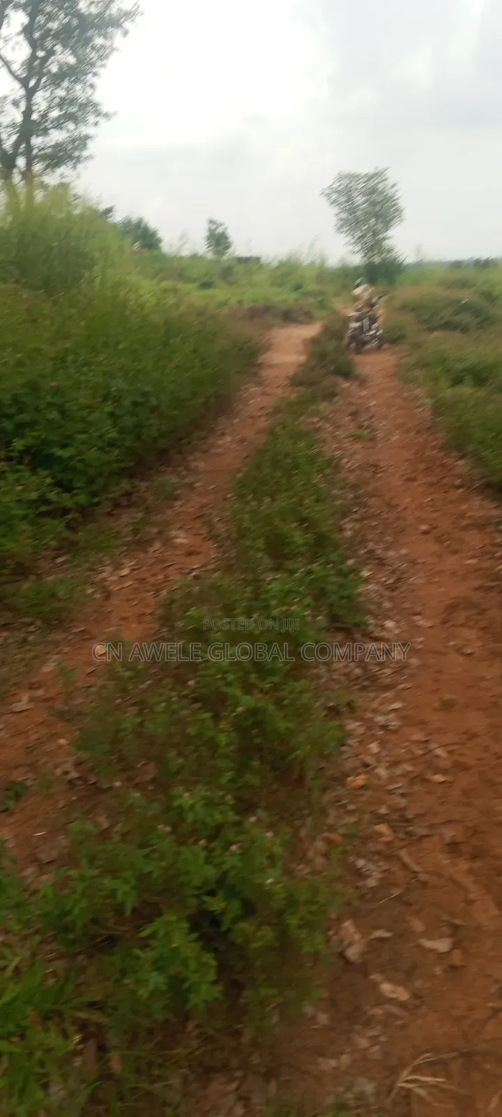 Land in Ojoto in Ideato South