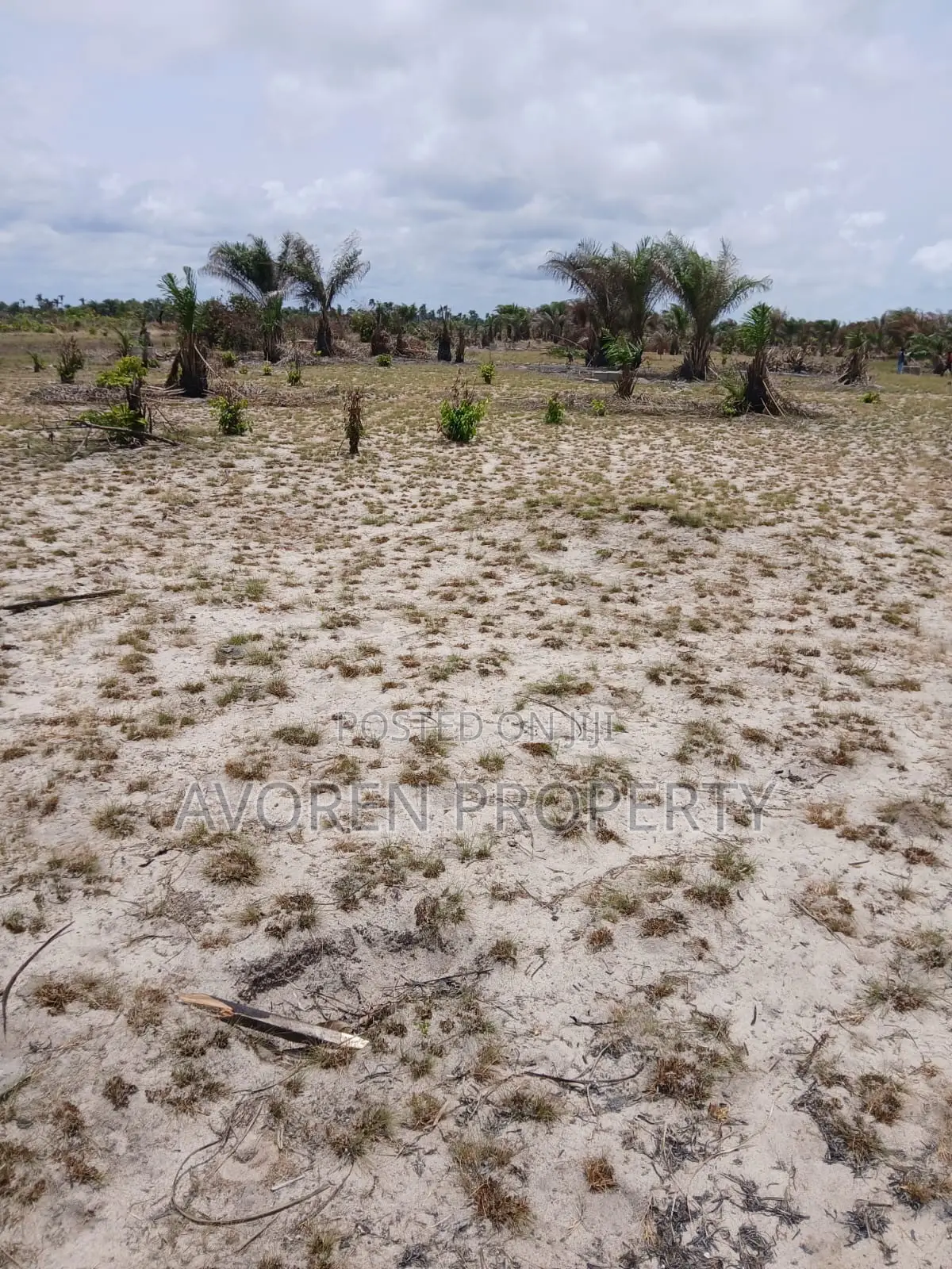 1 Plot of Land for Sale – 5 Minutes After Dangote Refinery in Ibeju-Agbe