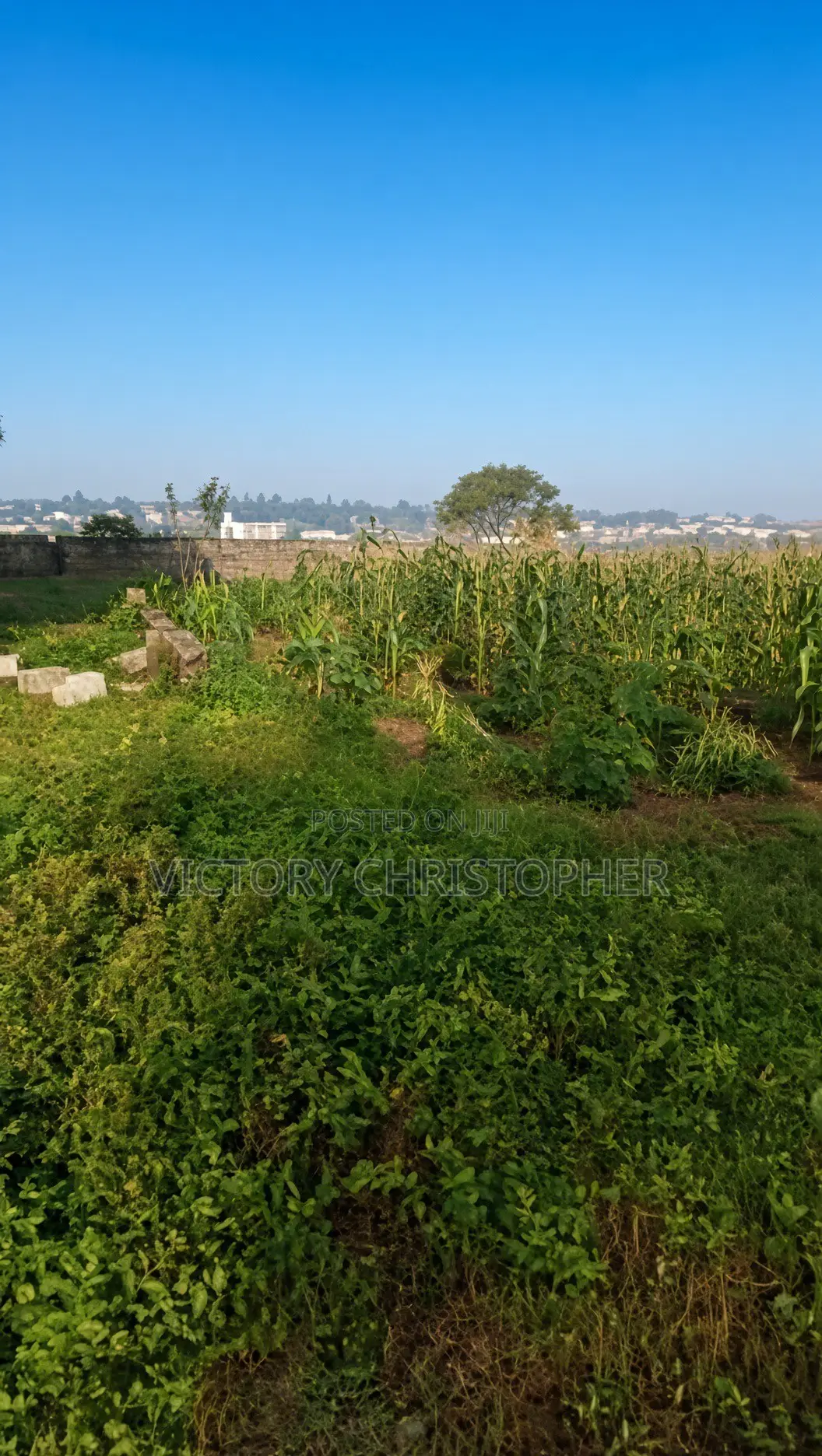 1,300sqm Residential Land in Gaduwa