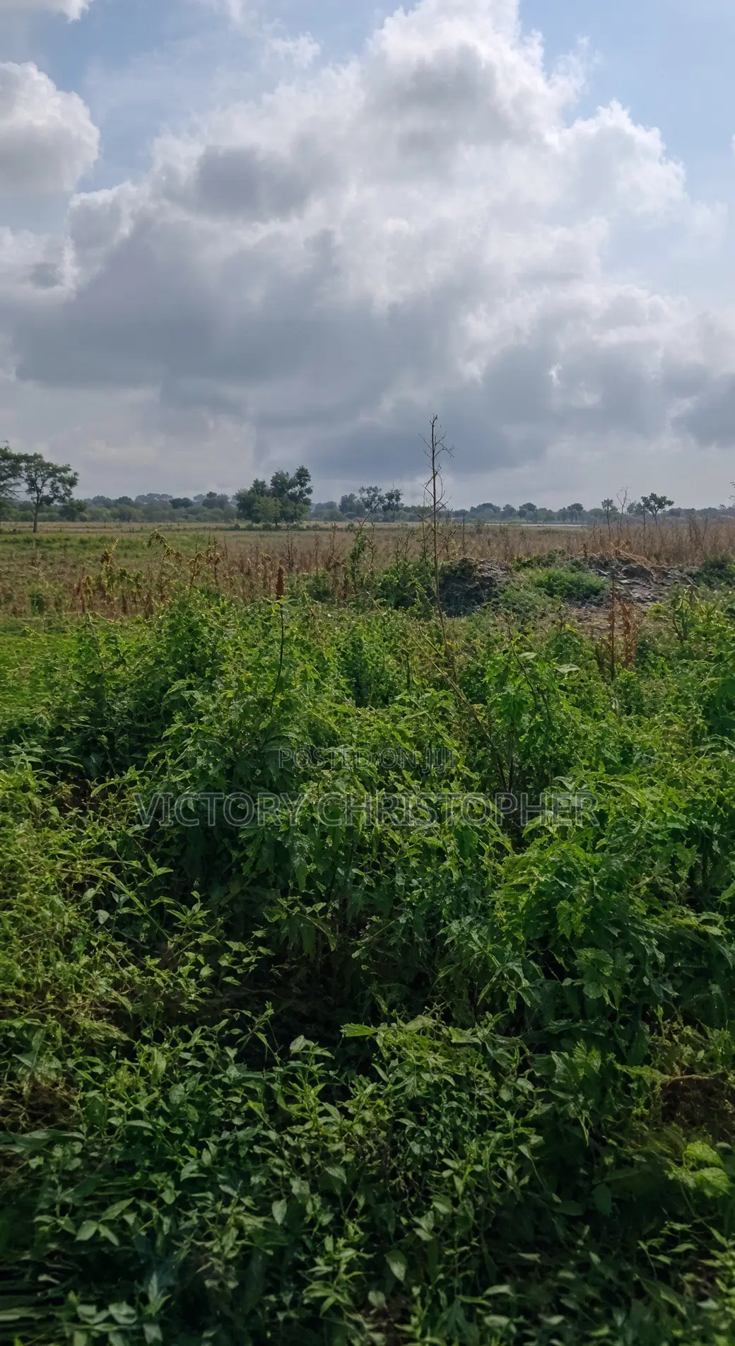 6.43 Hectares Mixed Use Land in Kabusa
