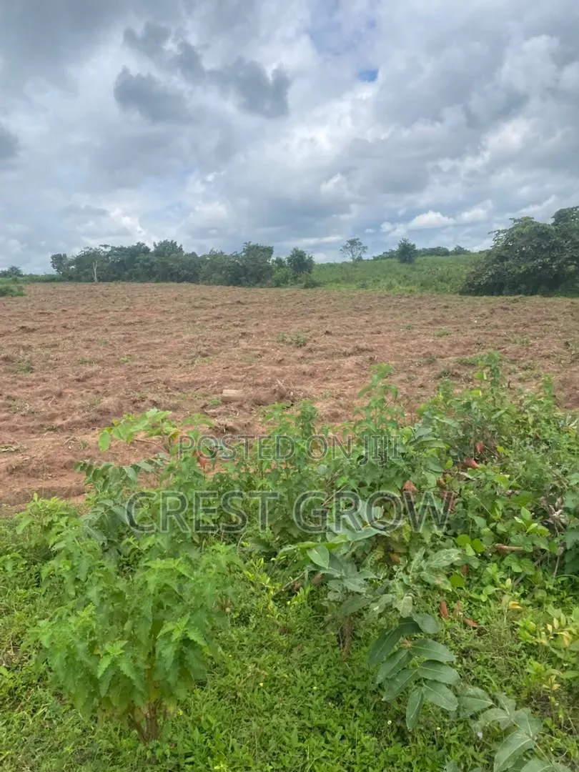 Farmland at Iseyin Oyo State in Iseyin