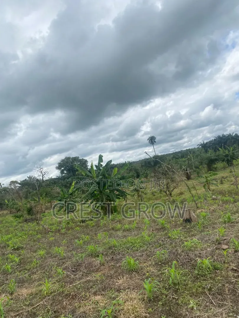 100 Acres of Quality Farm Land at Iseyin Oyo State in Iseyin