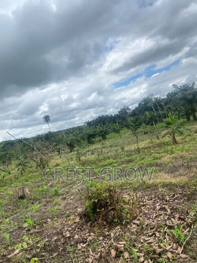 100 Acres of Quality Farm Land at Iseyin Oyo State in Iseyin