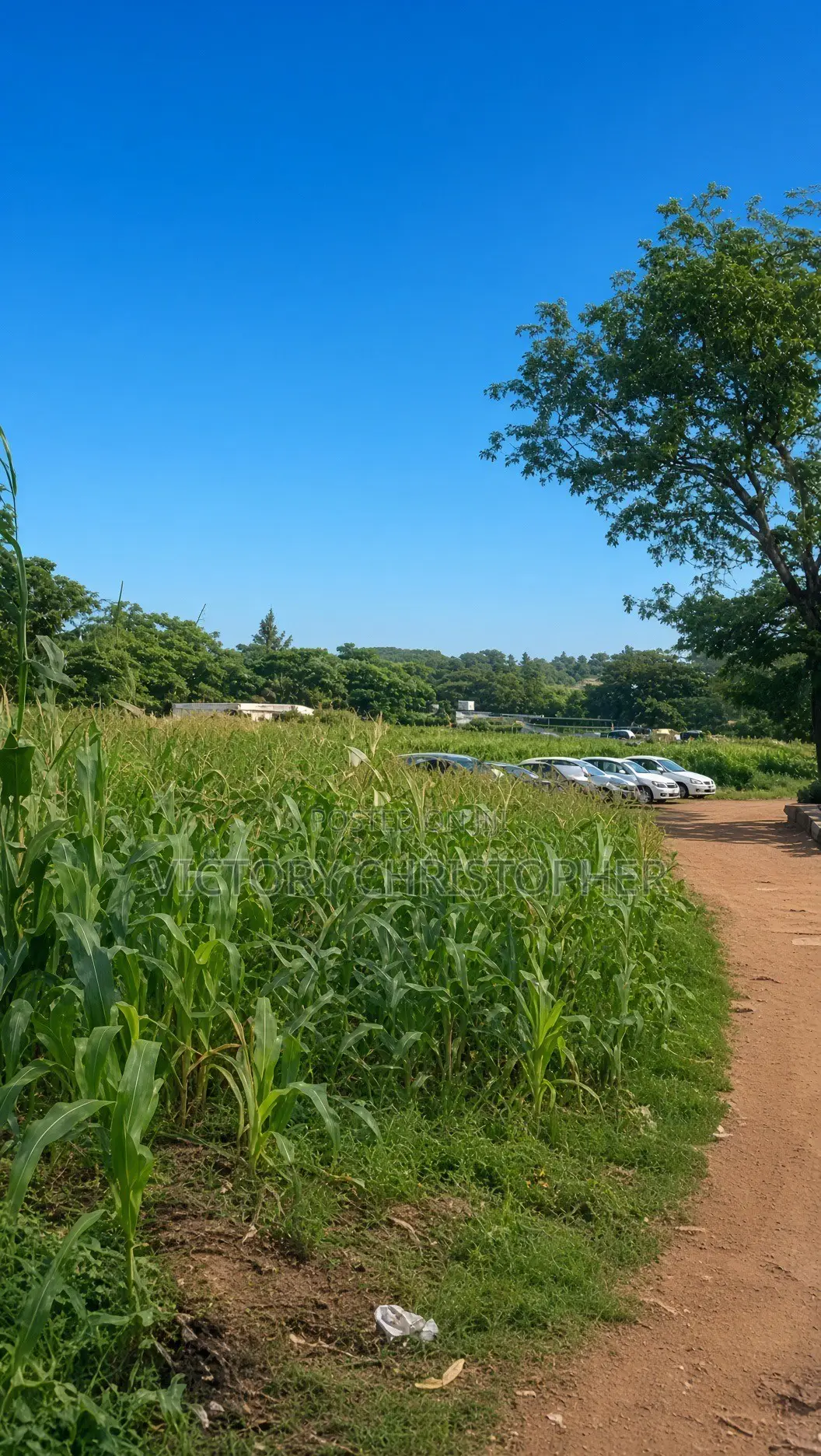 1.14 Hectare Residential Land in Jabi