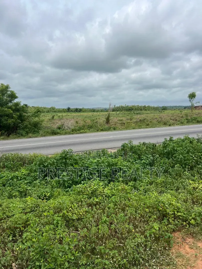 Multipurpose Land for Sale Along Moniya–Iseyin Expressway in Moniya