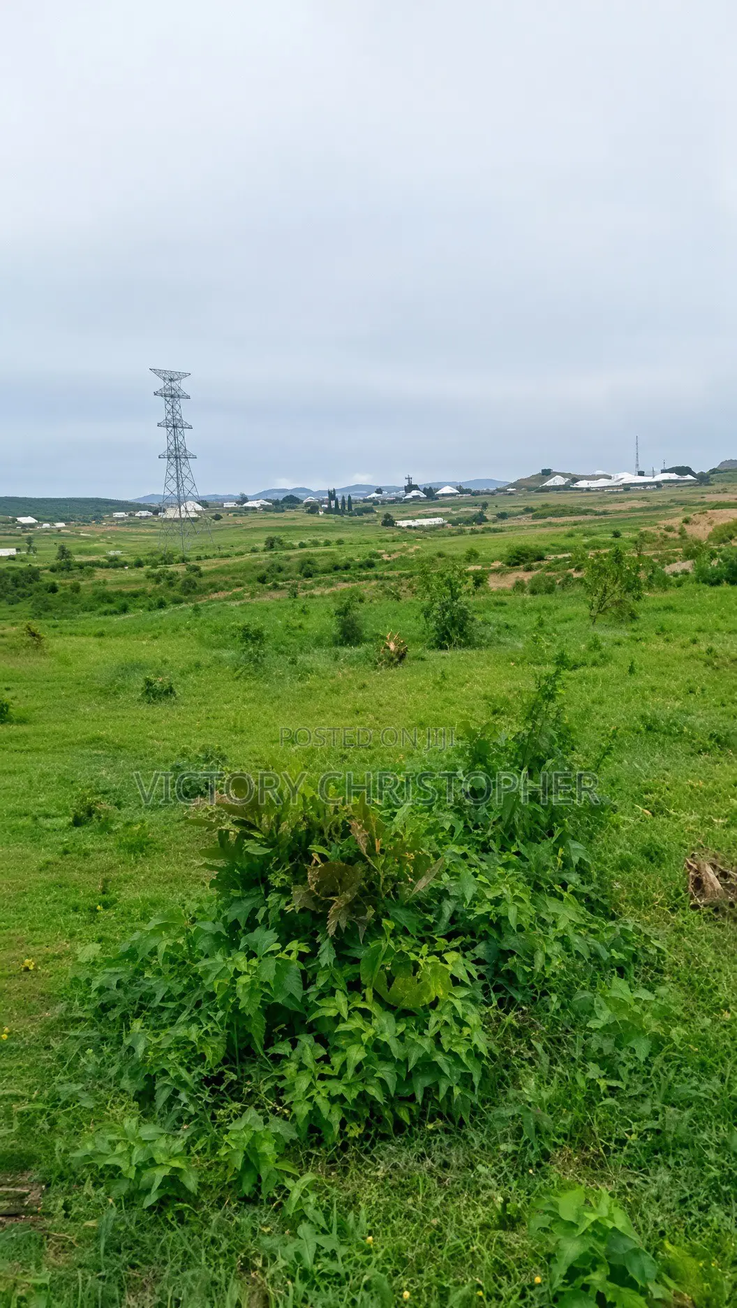 1.54 Hectares Residential Land in Kurudu