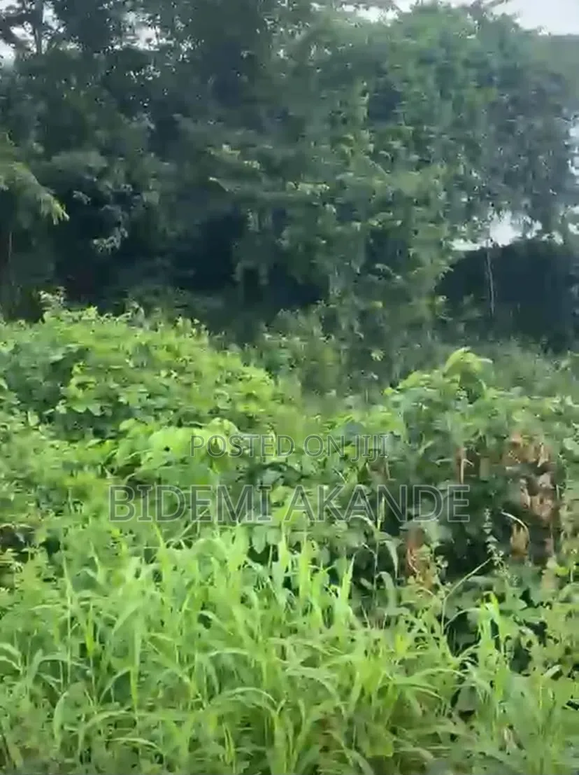 170 Acres of Commercial Land for Sale in Papalanto, Ogun State! in Ewekoro