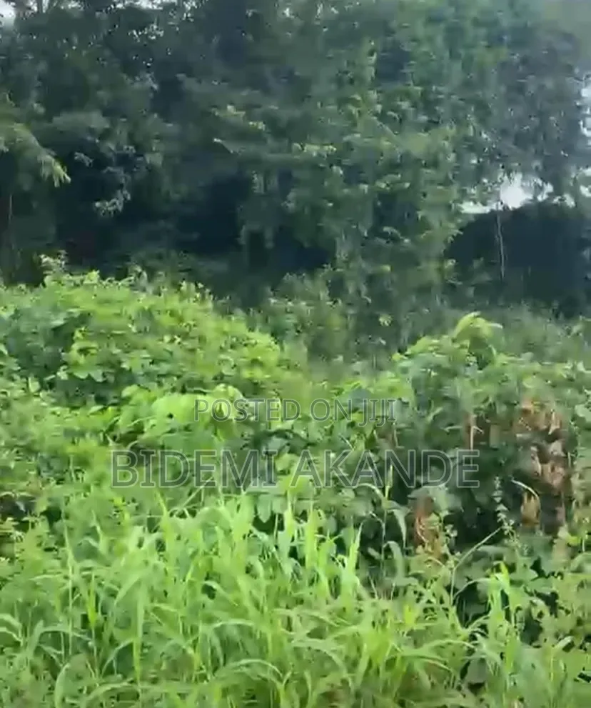170 Acres of Commercial Land for Sale in Papalanto, Ogun State! in Ewekoro