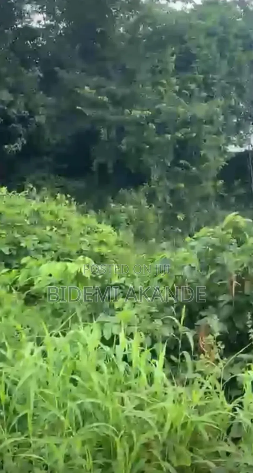 170 Acres of Commercial Land for Sale in Papalanto, Ogun State! in Ewekoro