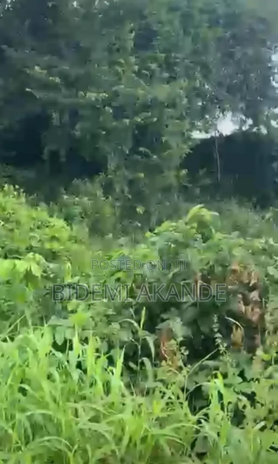 170 Acres of Commercial Land for Sale in Papalanto, Ogun State! in Ewekoro
