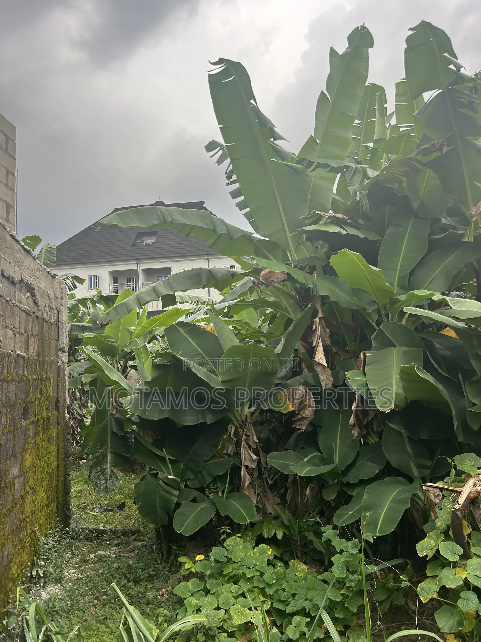 2plots of Land for Sale at Egbelu Minita Estate Ph in Obio-Akpor