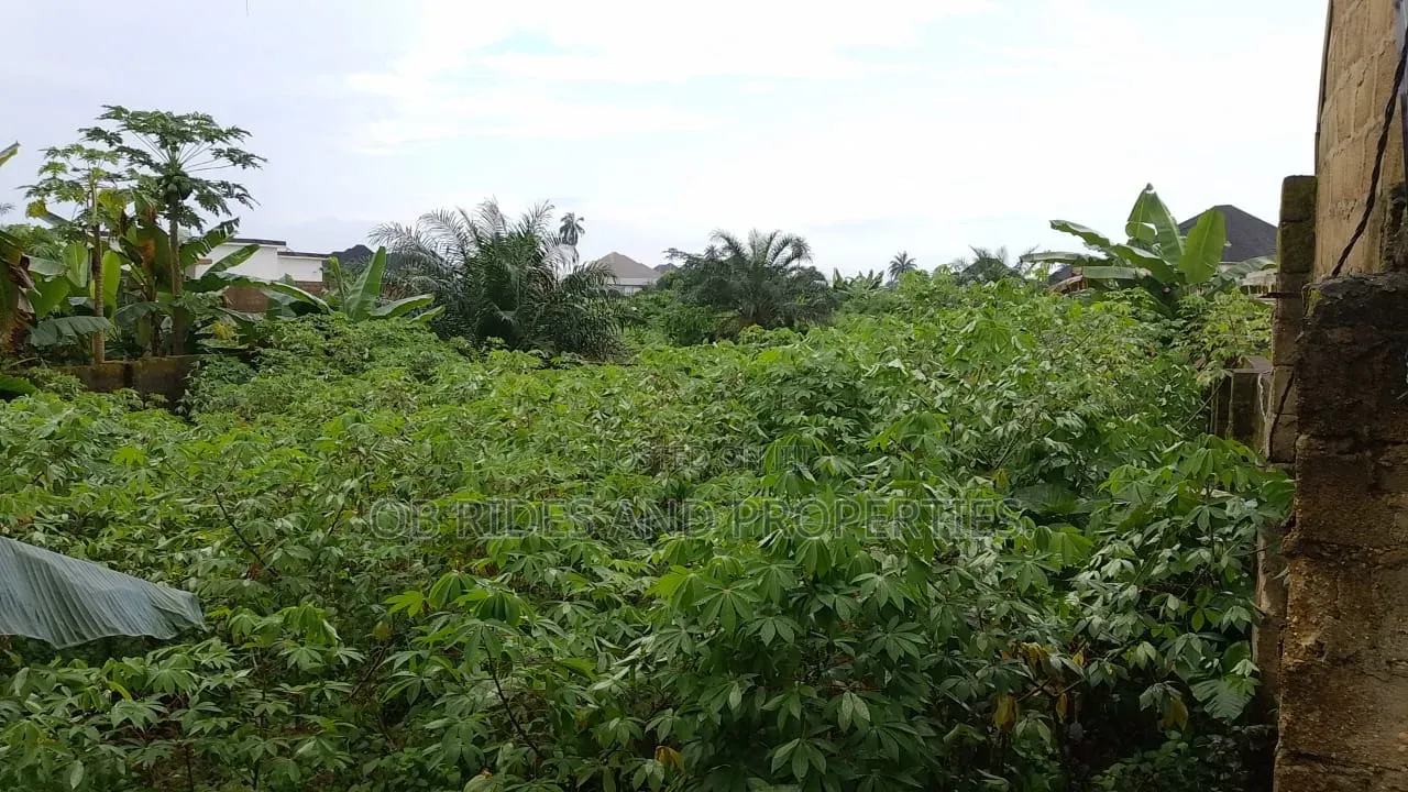 771.249 Square Meters Surveyed Free From Encumberance. in Uyo