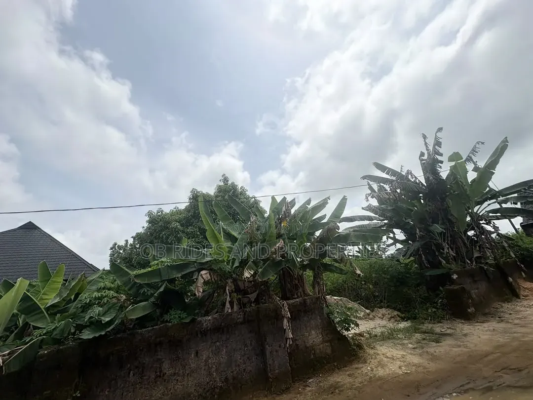 771.249 Square Meters Surveyed Free From Encumberance. in Uyo