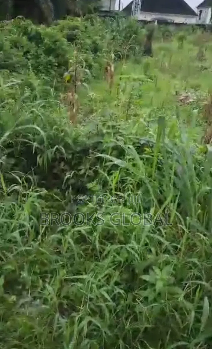 A Flat Land of 100/100 Feet at Ugbomro Effurun Warri for Sale in Warri