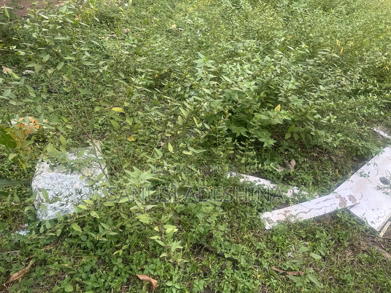 30 Hectares of a Land at Karsana South Abuja Nigeria in Karsana