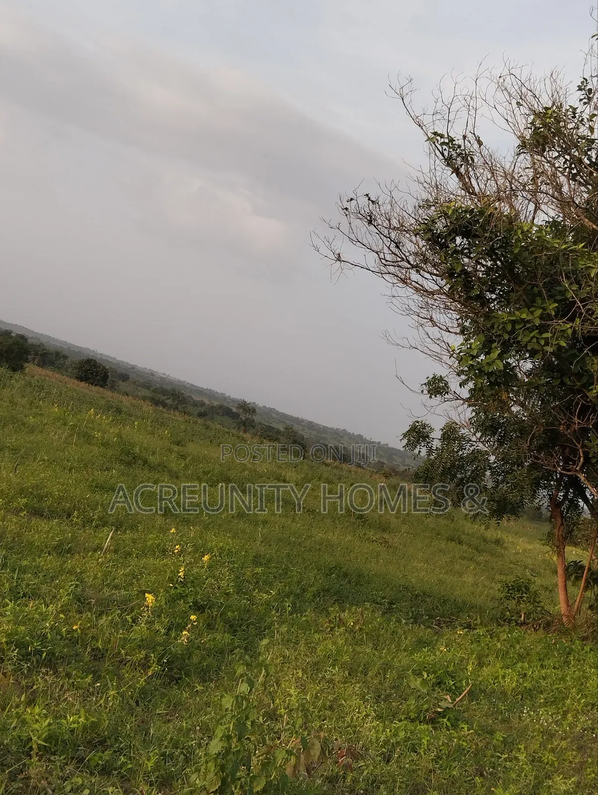 606 Acres of Farmland Available at Edu Village, Along Iseyin-Saki Road in Itesiwaju