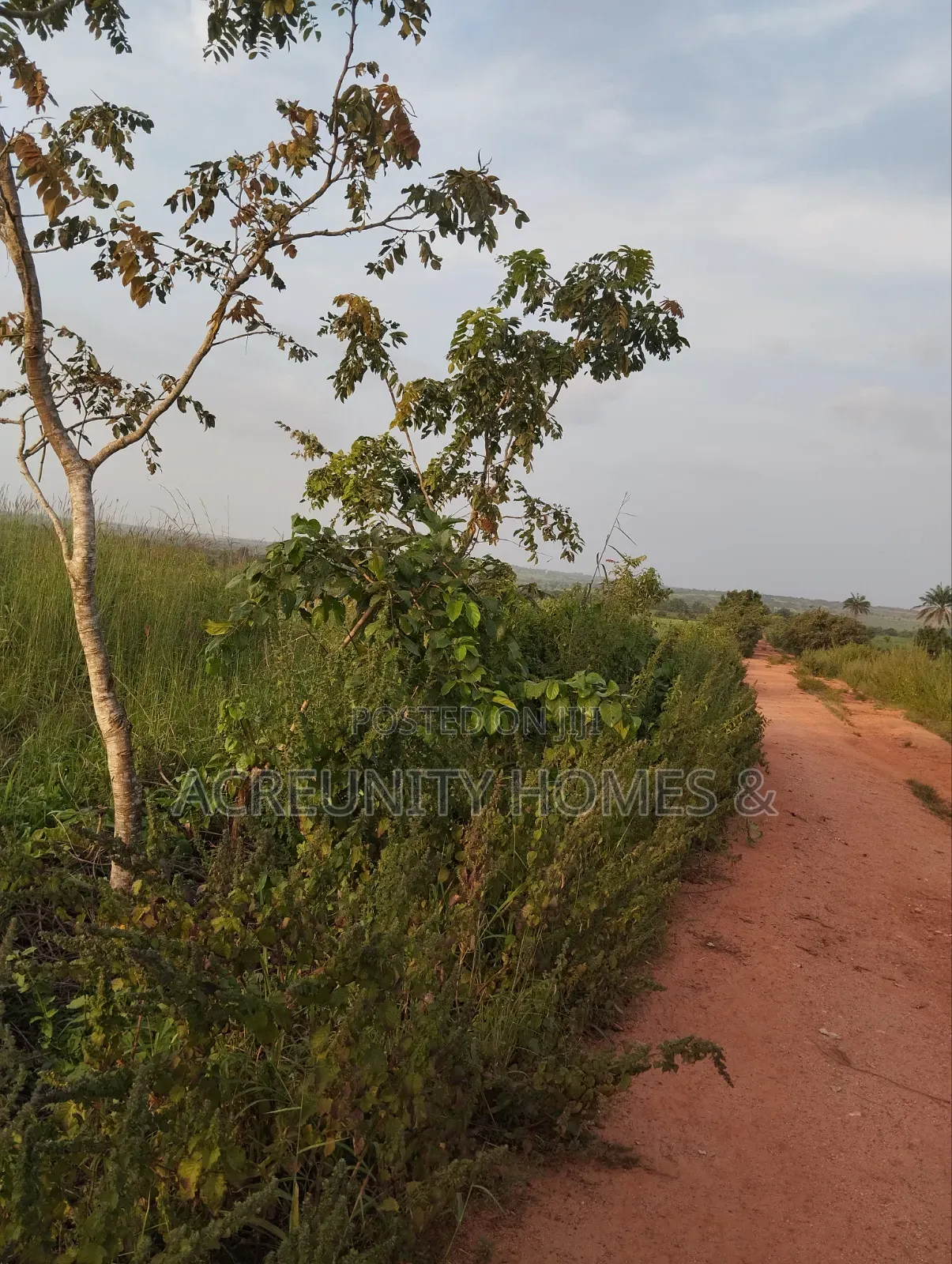 606 Acres of Farmland Available at Edu Village, Along Iseyin-Saki Road in Itesiwaju