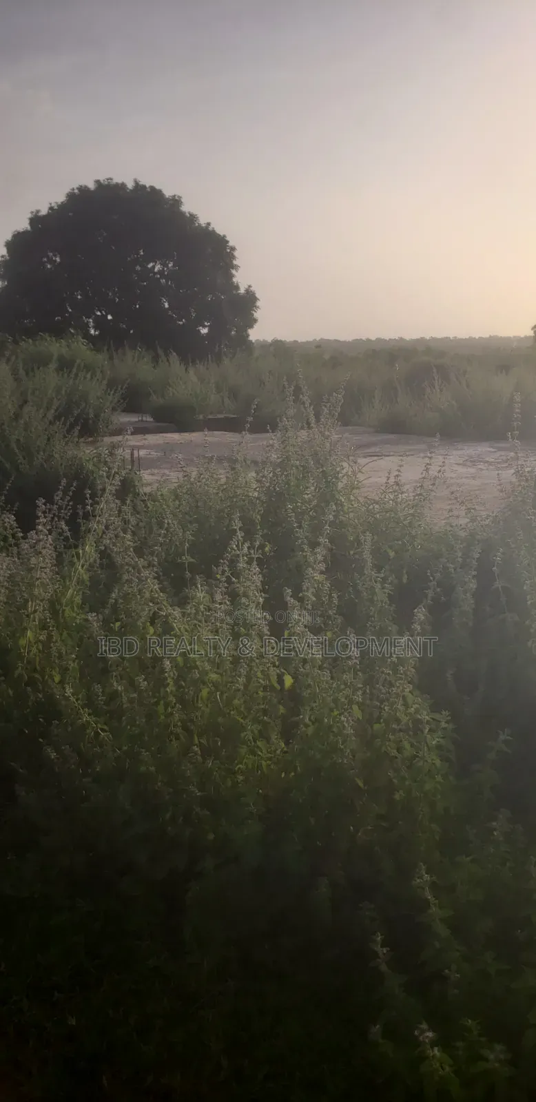 4 Plot of Land Measured by 200 by 100 Is Available for Sale at Kwasu in Moro