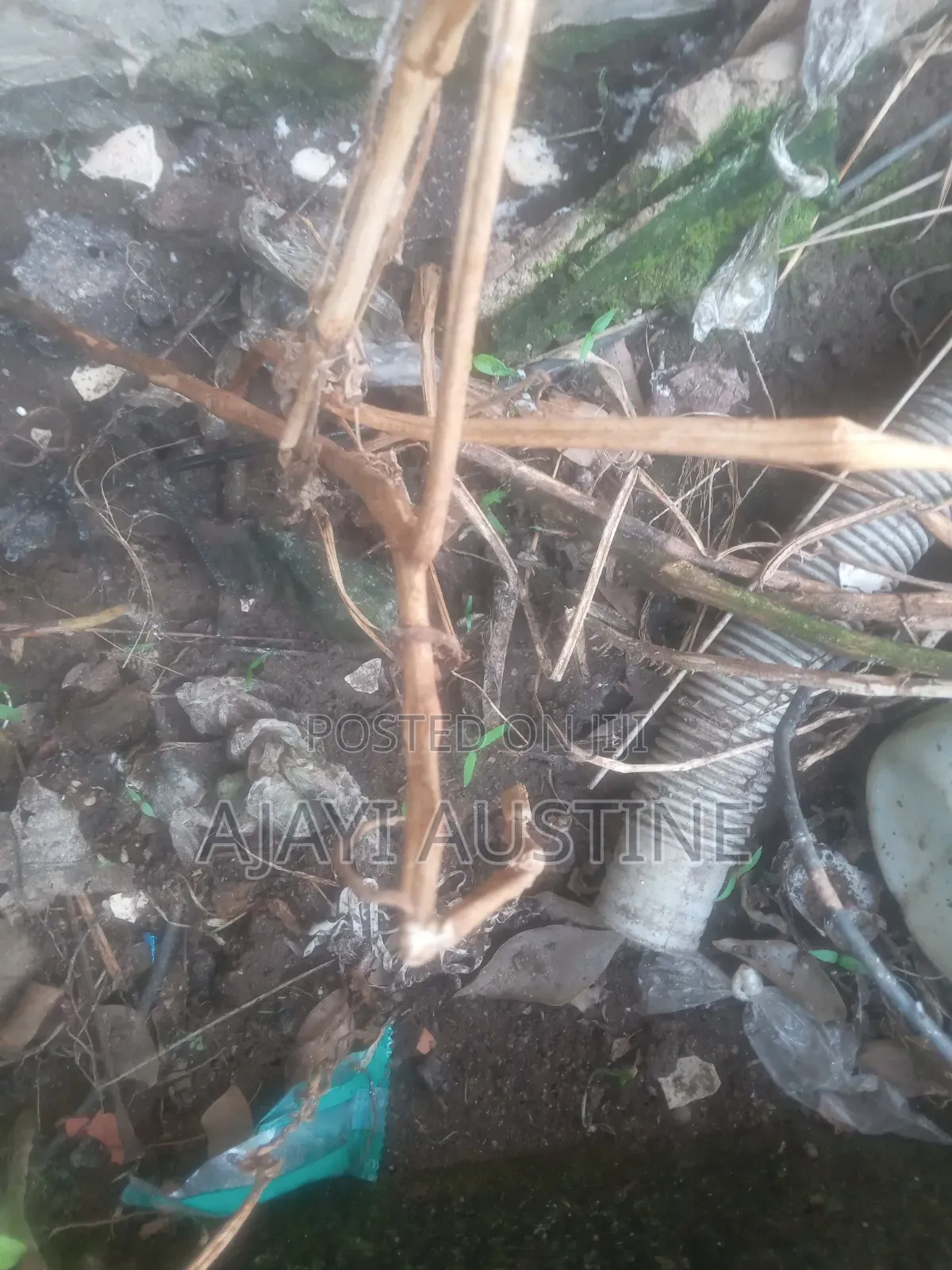 146 Hectares Land at Karasana South for Sale in Akure