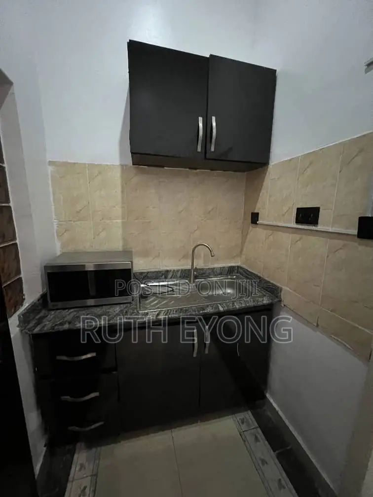 Furnished Studio Apartment in Victoria Island for rent in Victoria Island