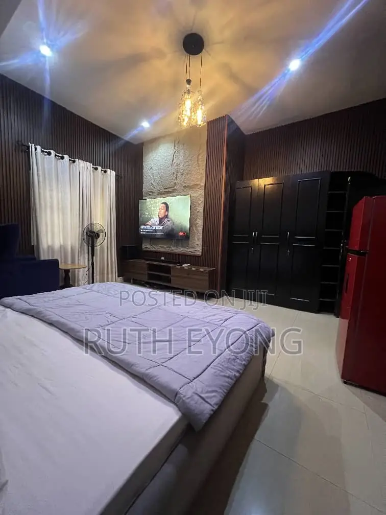 Furnished Studio Apartment in Victoria Island for rent in Victoria Island