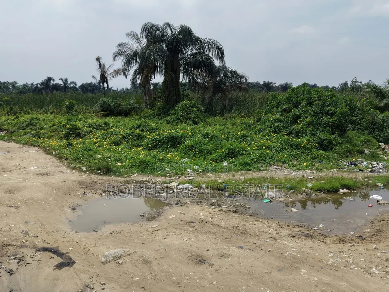  for Sale: 5 Acres at Alasia, Ajah–lekki, Lagos in Off Lekki-Epe Expressway