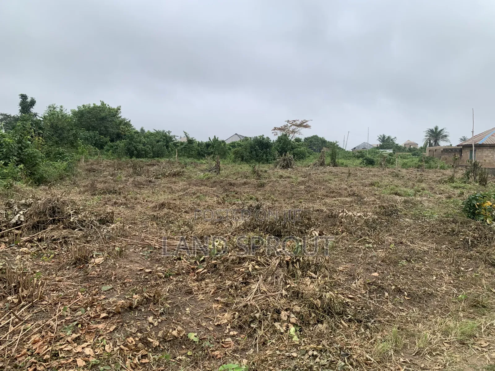 Big Plot of Land at Onikakan, Moniya, Ibadan in Moniya