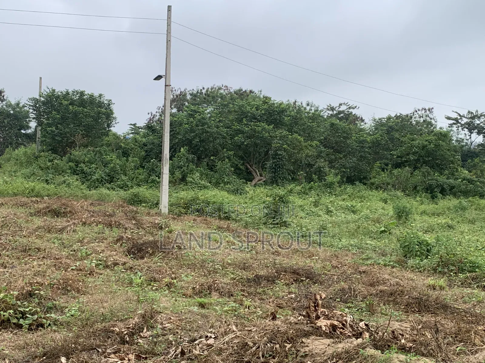 Big Plot of Land at Onikakan, Moniya, Ibadan in Moniya