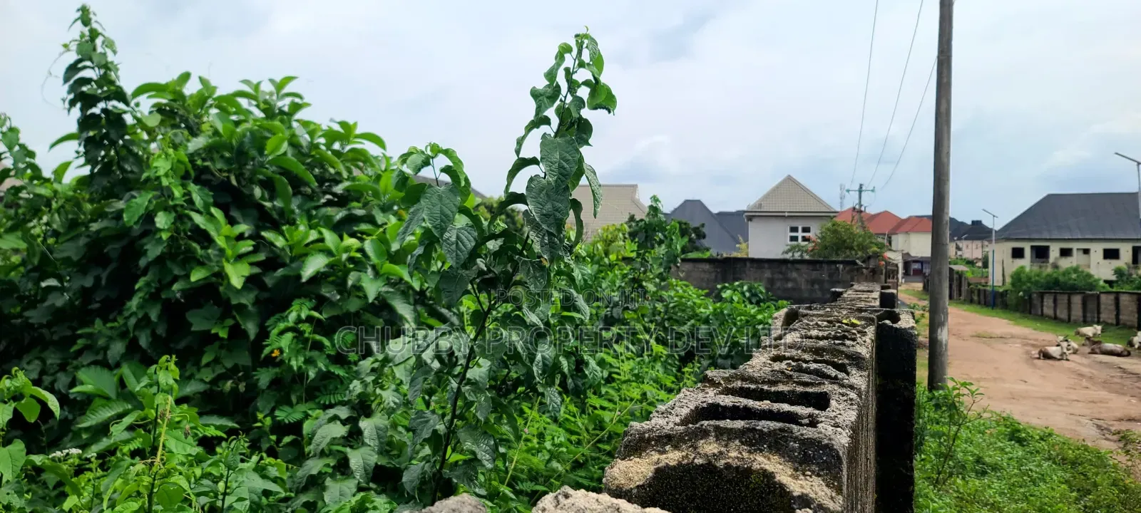 3 Plots of Land With Short Fence for Sale in Umuahia