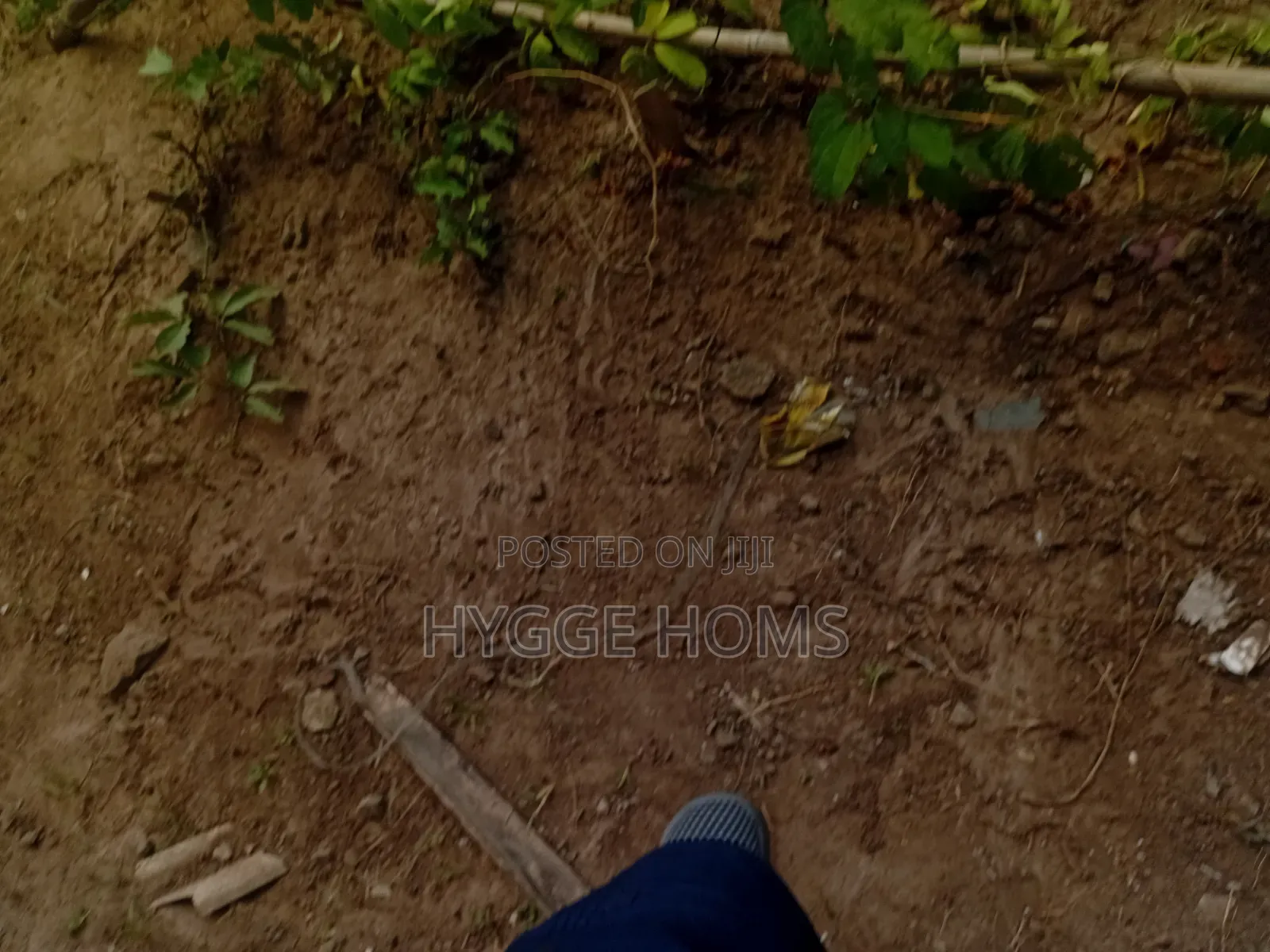 Half Plot of Land Greenhill Estate in Oko-Oba