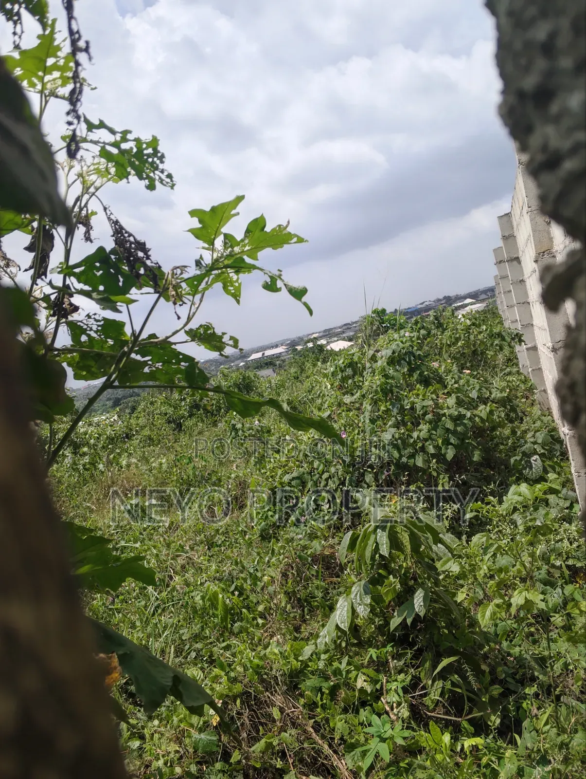 Family Deed Top in Gberigbe