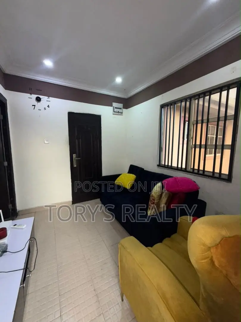 Furnished 1bdrm Apartment in Lekki Phase 1 for rent in Lekki Phase 1