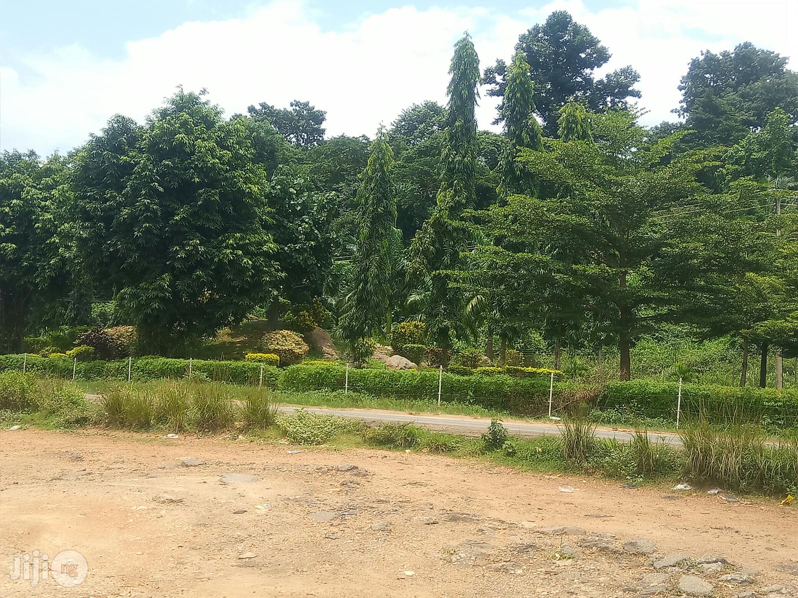 Land Measuring 1000sm Opposite IITA Ibadan in Ibadan
