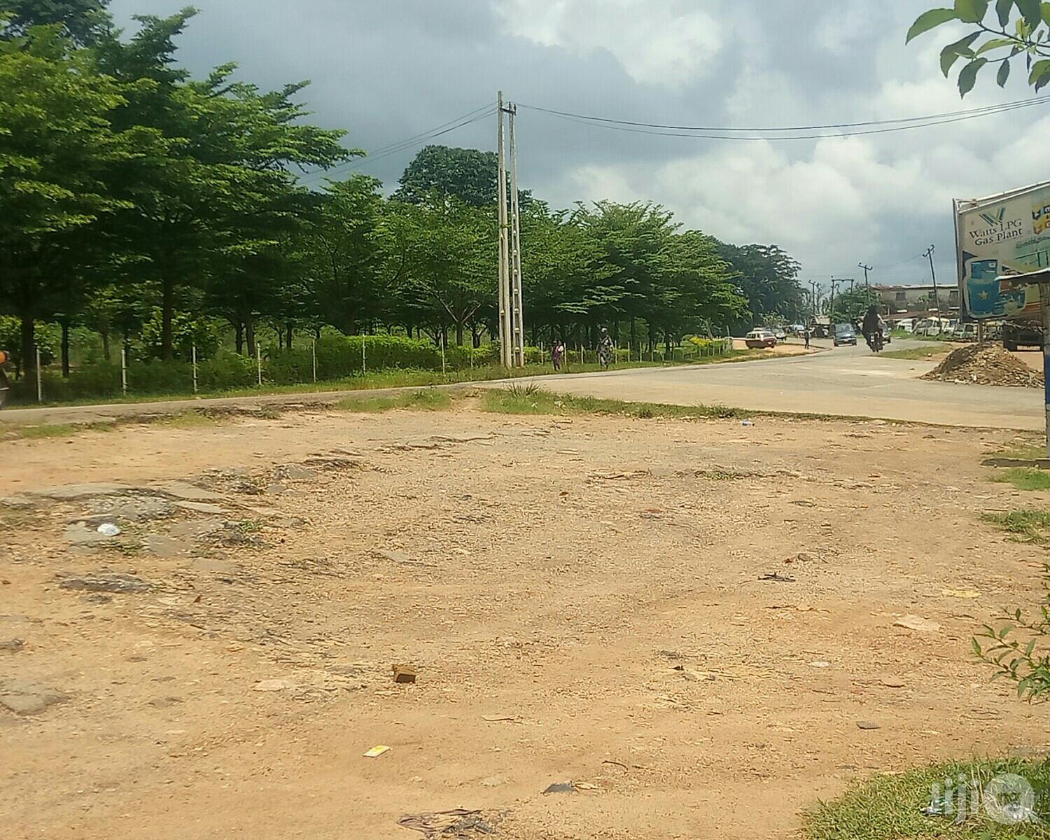 Land Measuring 1000sm Opposite IITA Ibadan in Ibadan