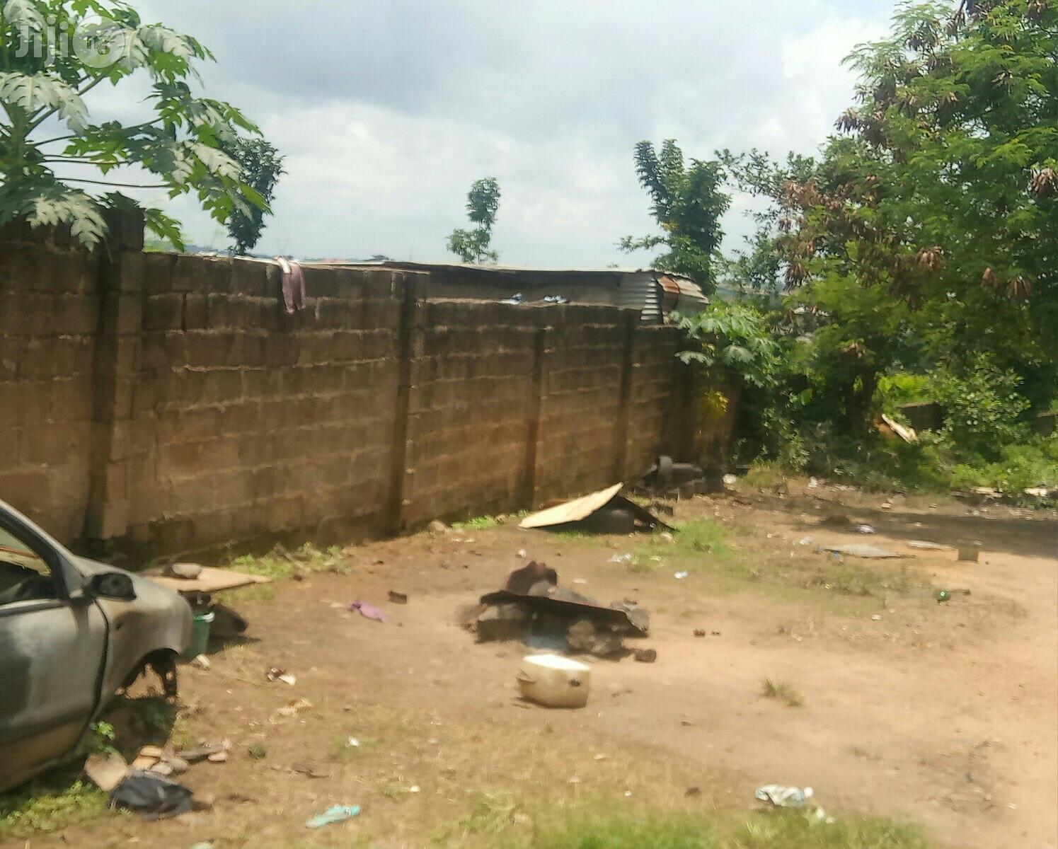 Land Measuring 1000sm Opposite IITA Ibadan in Ibadan