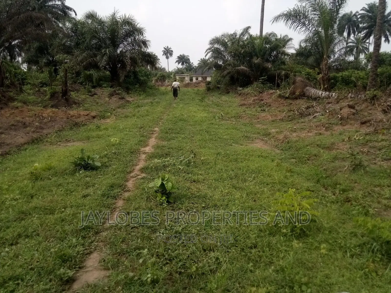 2 Plots of Land at Umuazu, Igbo-Etche, Ph, for Sale in Etche