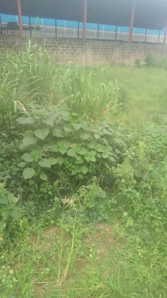 Half Plot of Land at Praisehill Estate, Arepo in Obafemi-Owode