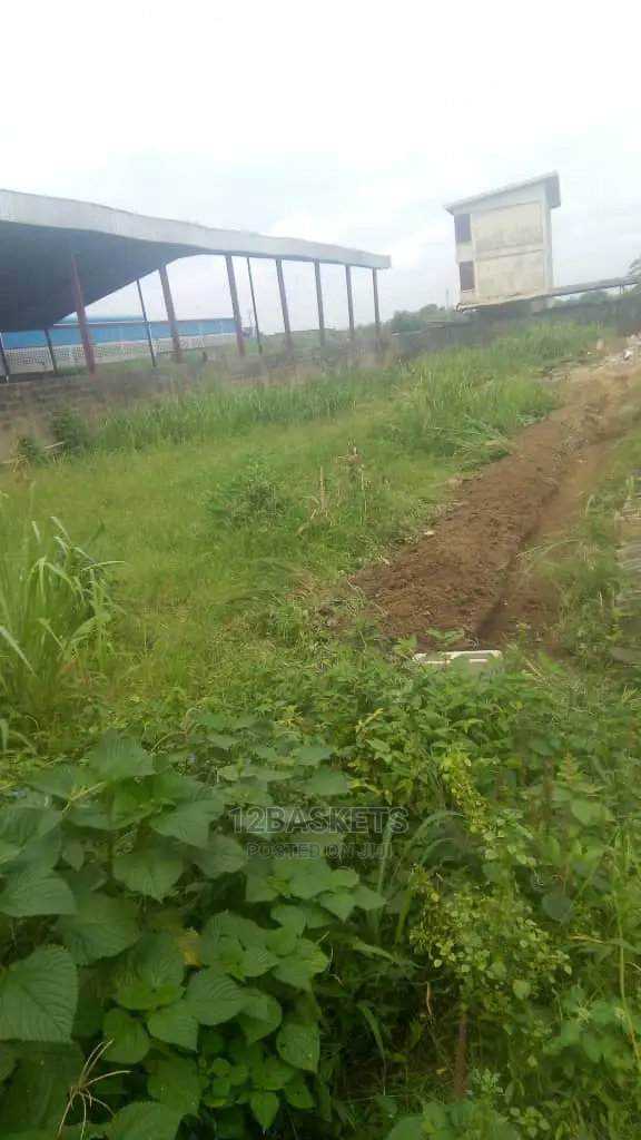 Half Plot of Land at Praisehill Estate, Arepo in Obafemi-Owode